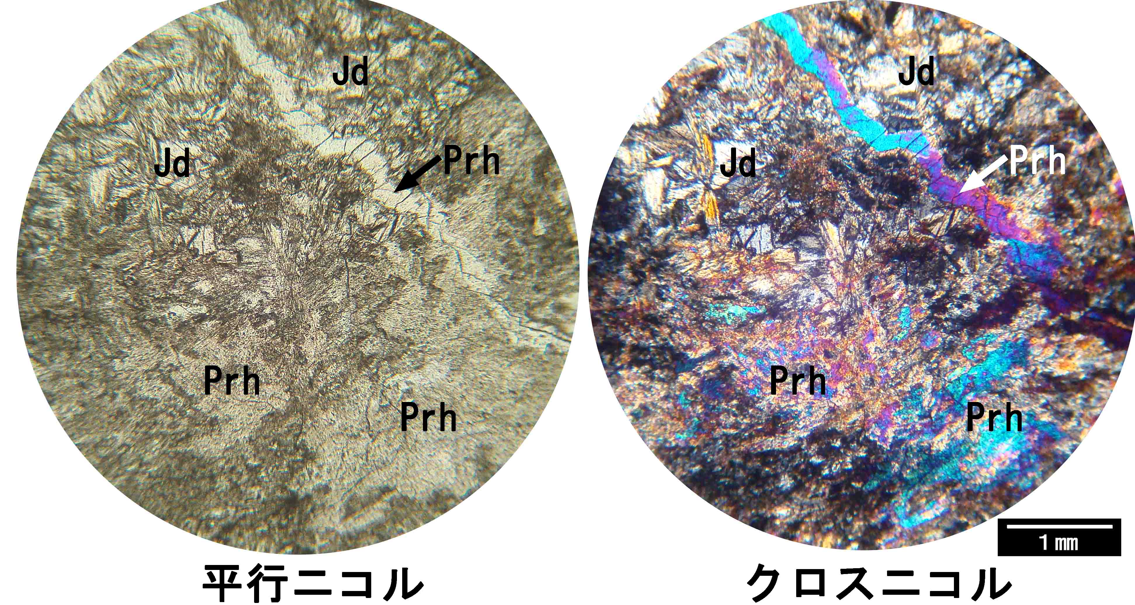 ぶどう石　紫 ぶどう石 prehnite